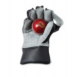 GM 303 Cricket Wicket Keeping Gloves